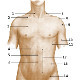 Surface anatomy